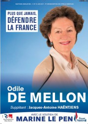 mellon.jpg (58.83 Kio) Vu 225 fois mellon.jpg
